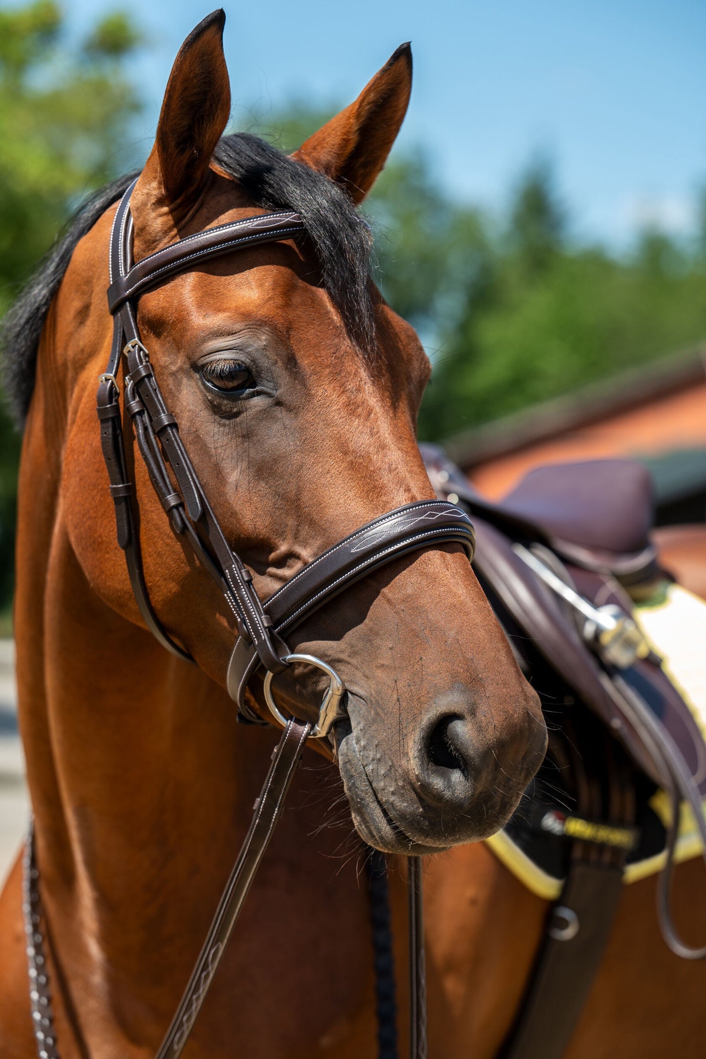 HKM Hunter Bridle