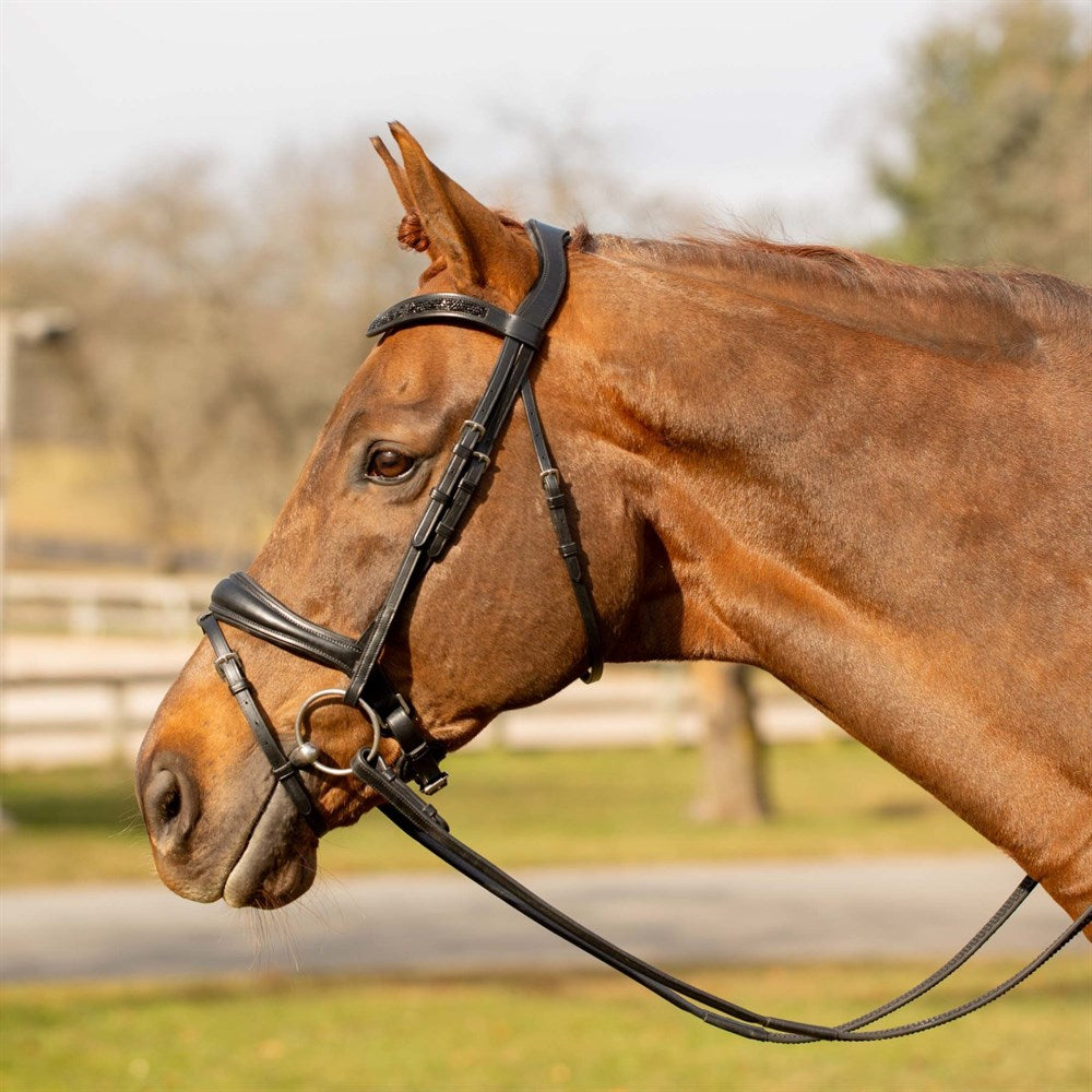 Equinavia Valkyrie Anatomic Dressage Bridle