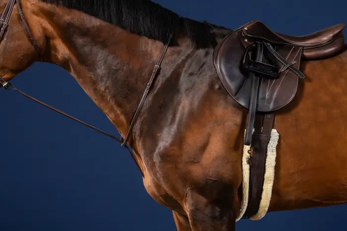 Dy'on Standing Martingale US Collection