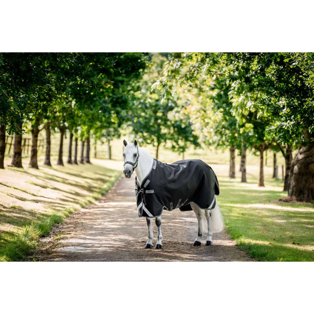 Horseware Rambo 1680D 50g Turnout