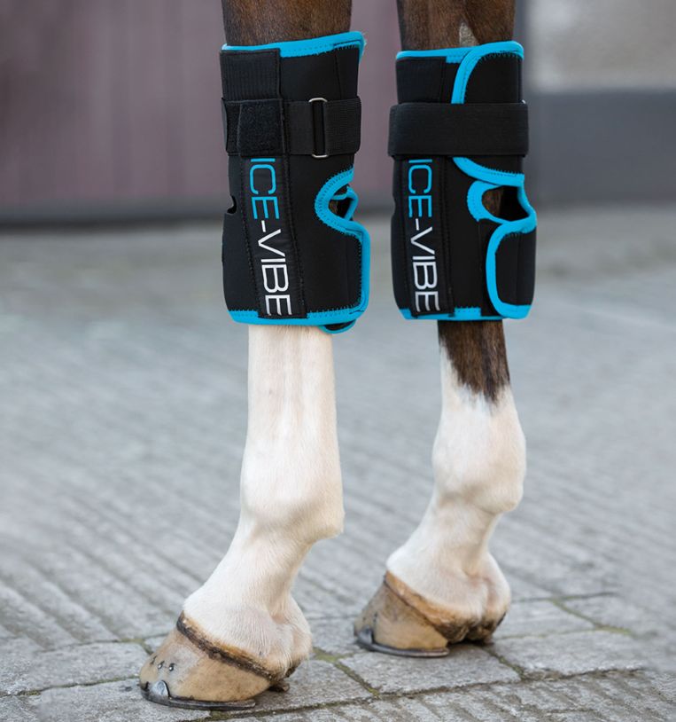 Horseware Ice-VIbe Knee Wrap