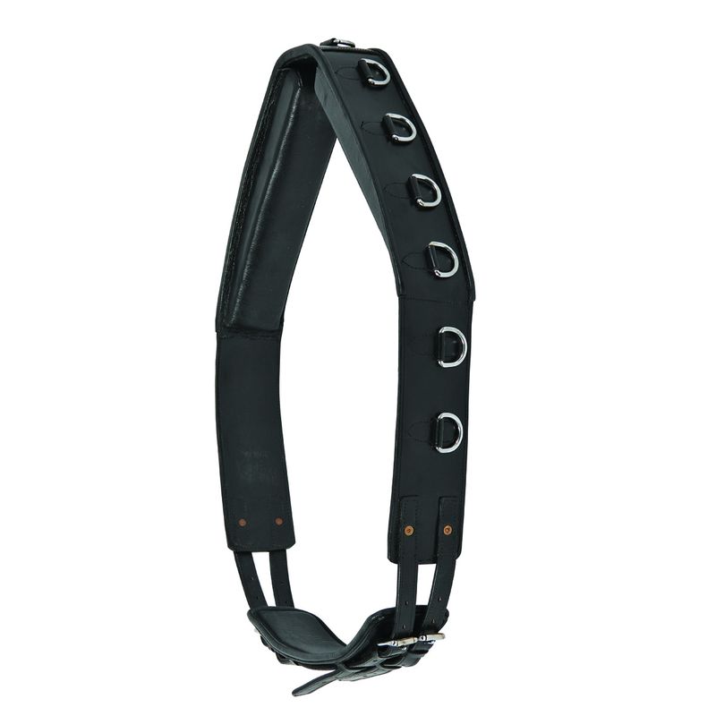 Waldhausen Leather Surcingle
