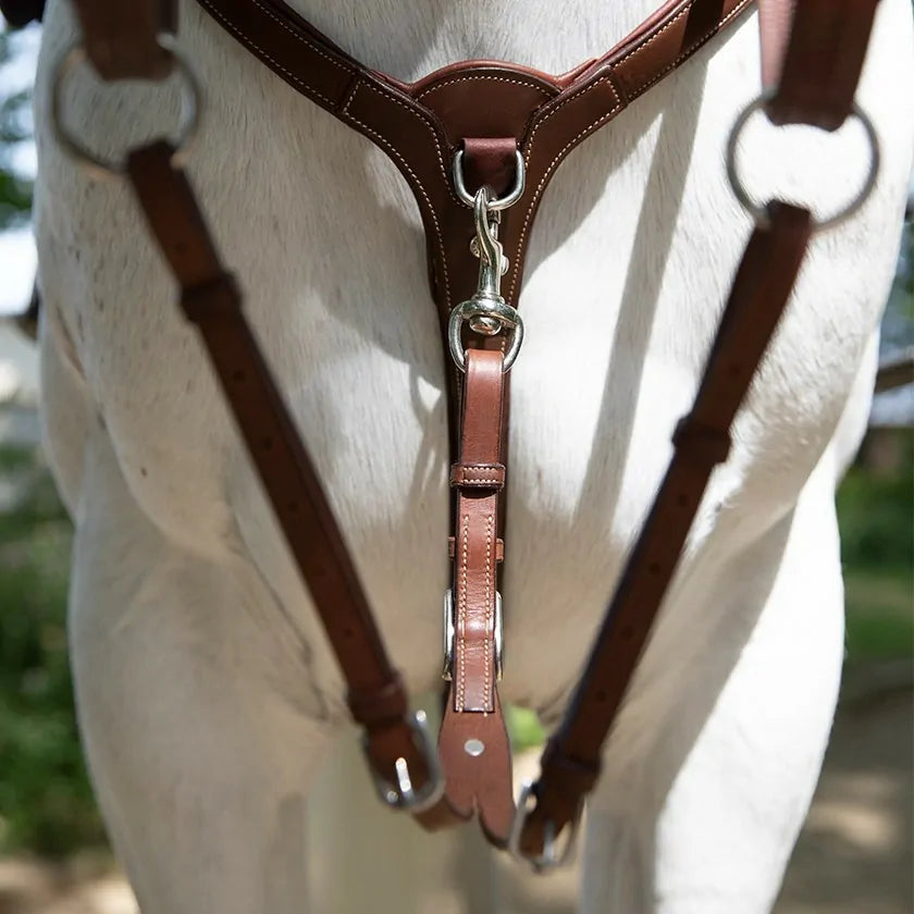 Antares Signature Running Martingale Attachment