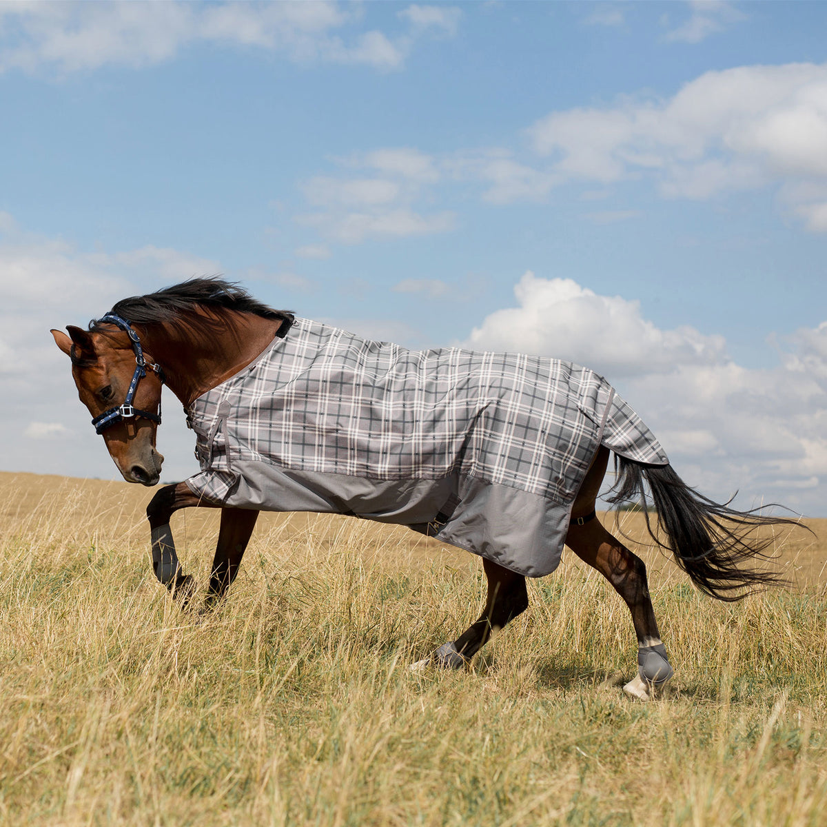 Horze Nevada Rainsheet 0g