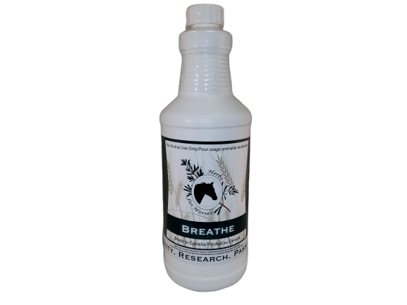 Herbs for Horses Breathe