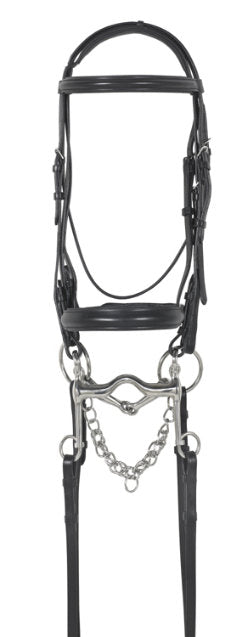 Ovation Double Bridle