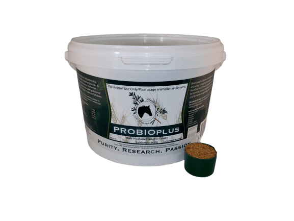 Herbs For Horses ProbioPlus