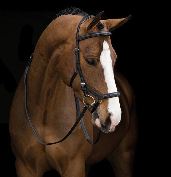 Horseware Rambo Micklem® Deluxe Competition Bridle