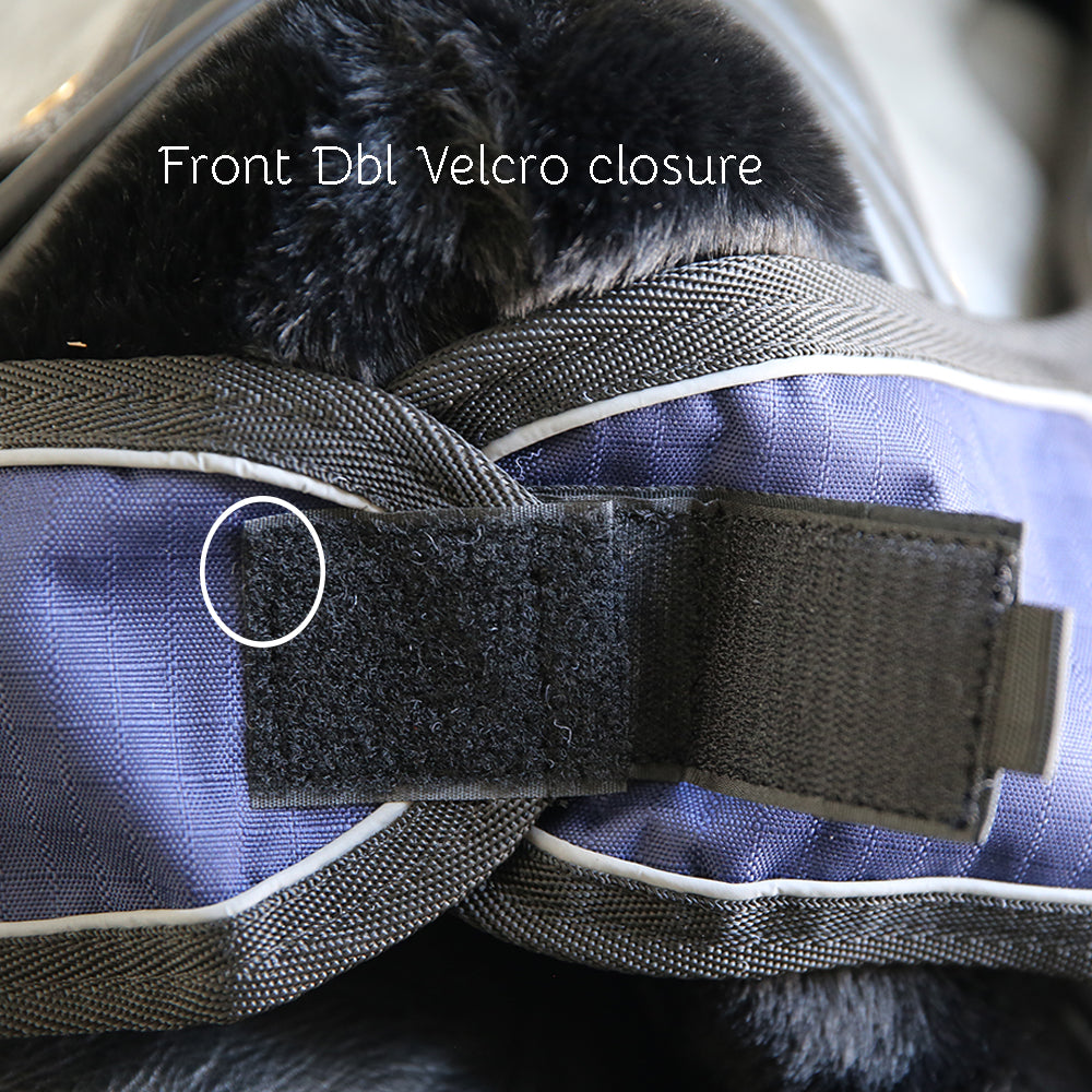 Back On Track Sammy Rug