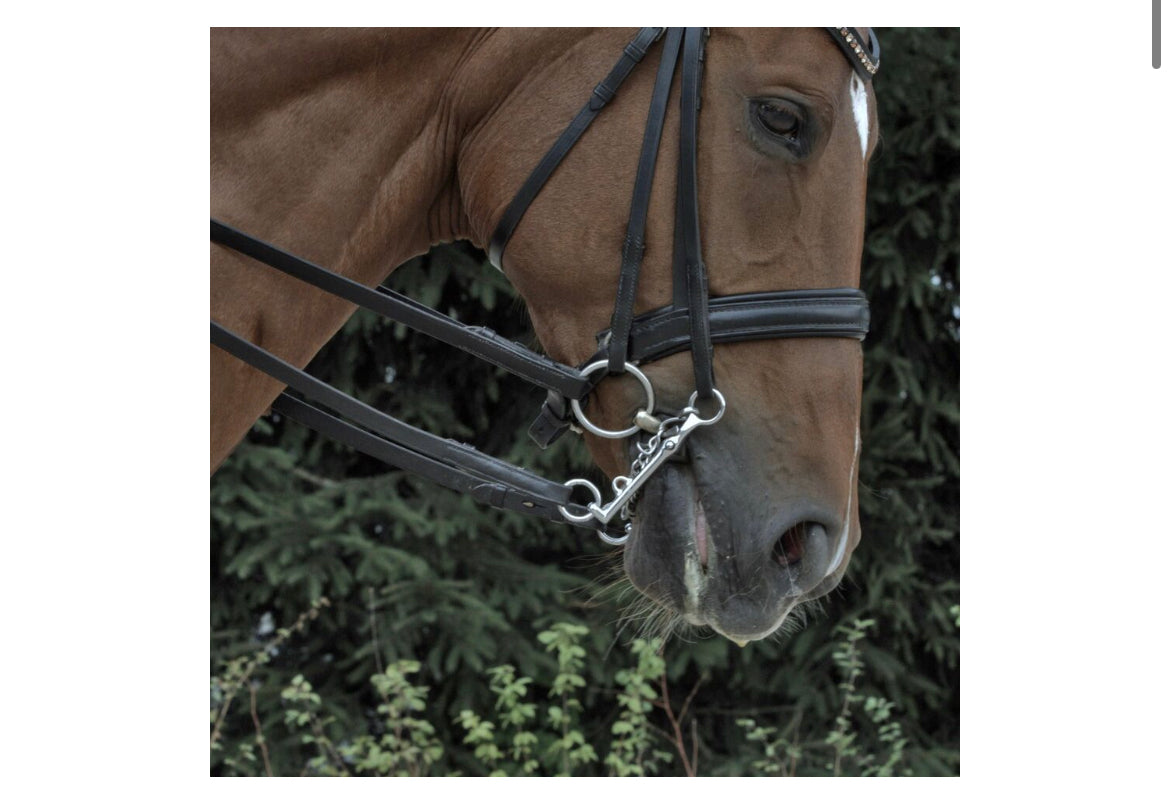 Sprenger DJ Dynamic RS Bradoon