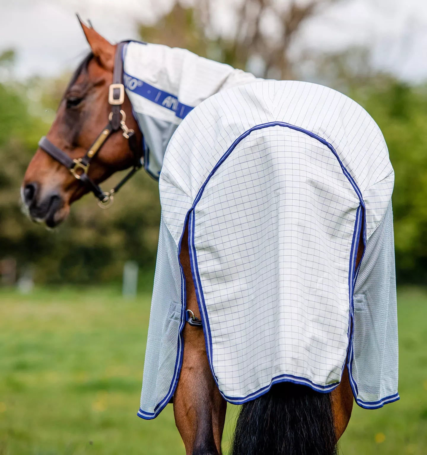 Horseware Amigo Airflow