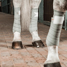 Load image into Gallery viewer, Incrediwear Equine Circulation Exercise Bandages
