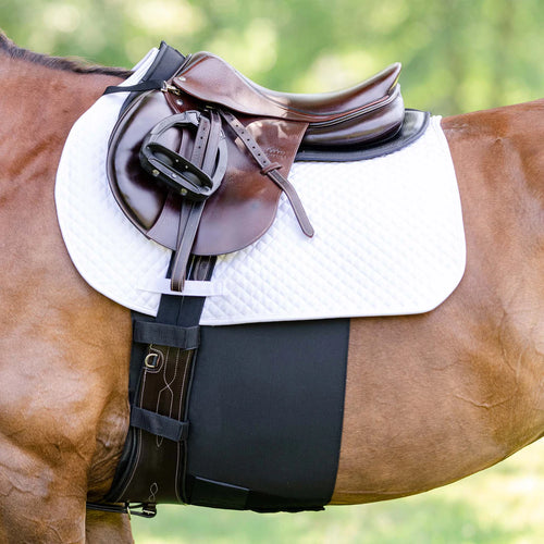 EquiFit BellyBand +