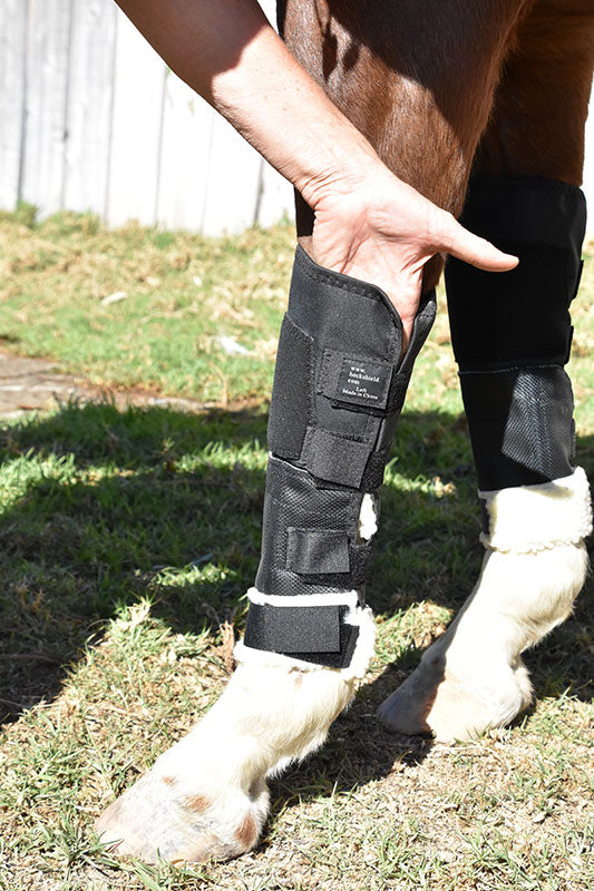 Knee Shield