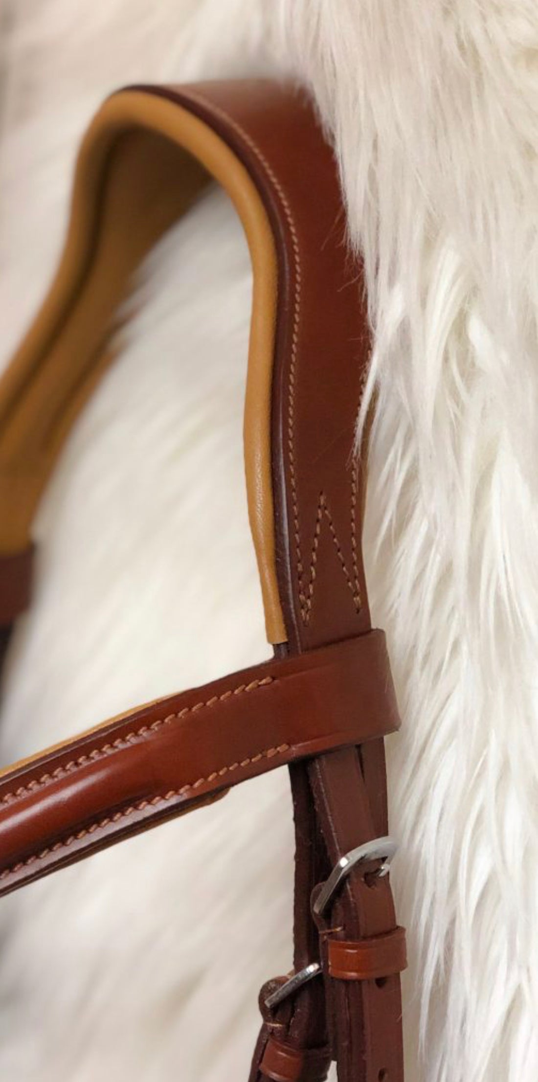 Lovas Lavelle Hunter Jumper Bridle