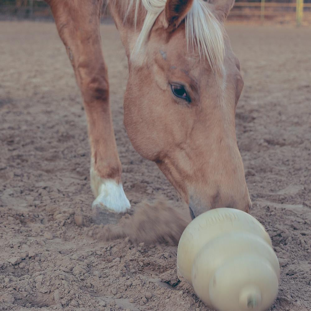 Equine Kong Heavy Duty