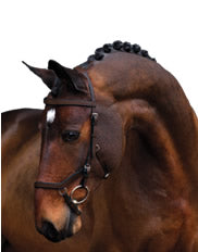 Horseware Micklem Competiton Bridle with Rubber Reins