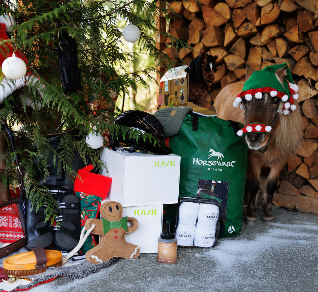Holiday Gift Guide: For your Horse