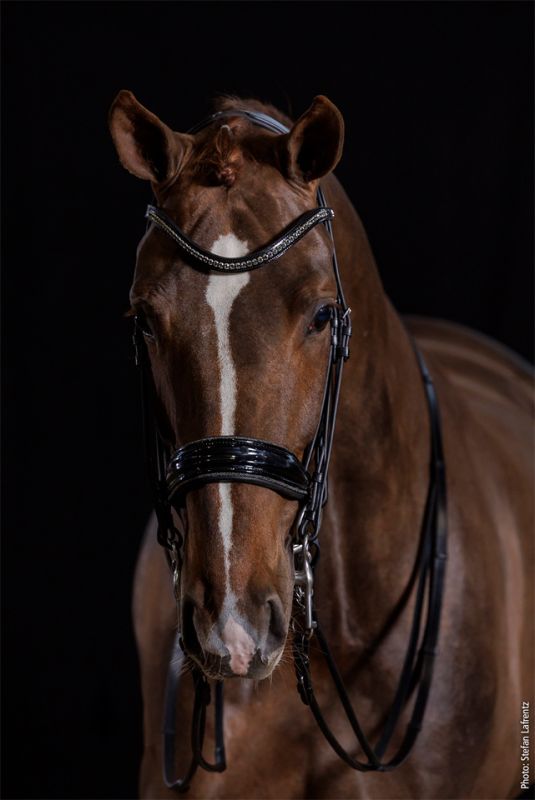 Schockemohle Milan Glam Double Bridle