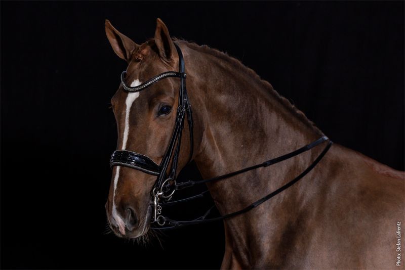 Schockemohle Milan Glam Double Bridle