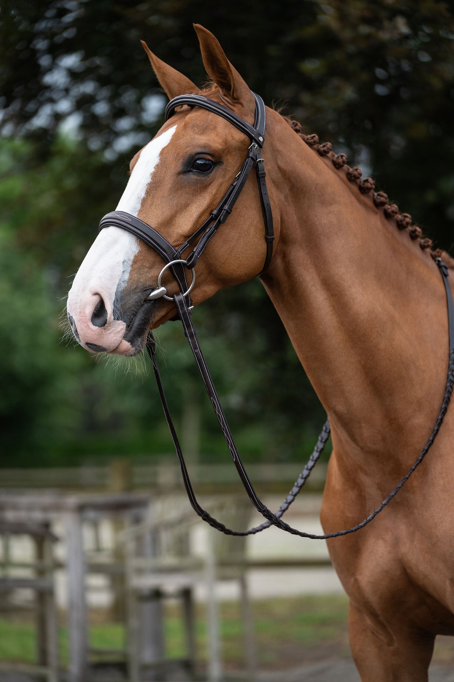 HKM Hunter Bridle