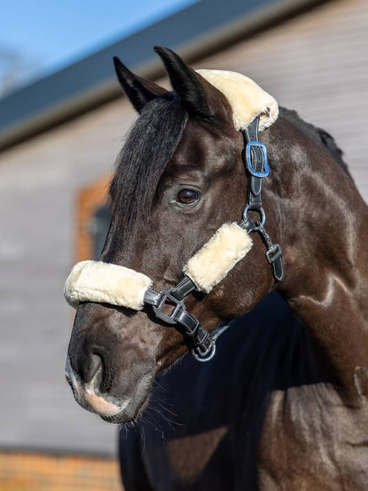 LeMieux Simuwool Halter Set