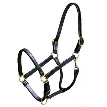 Contender Yearling Turnout Halter
