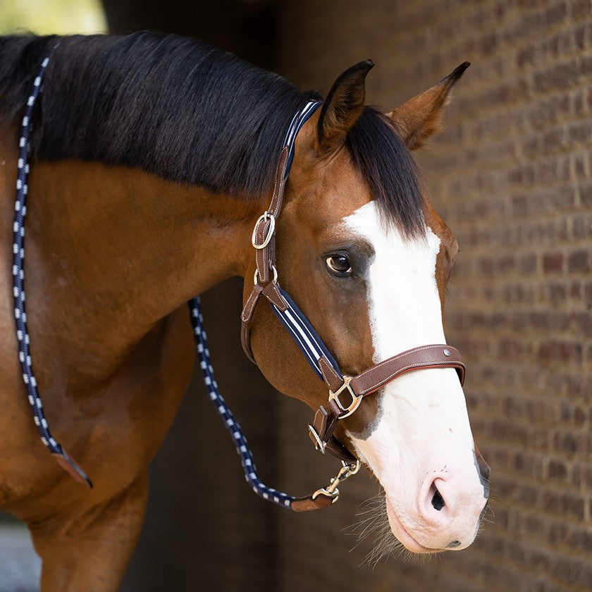 Antares Stressless Halter
