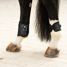 Load image into Gallery viewer, Equinavia Asgardian Ankle Boots