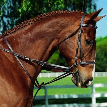 Imperial German Martingale