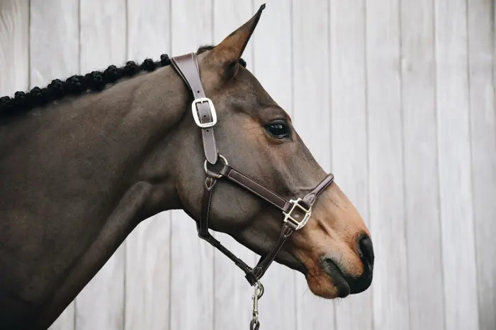 Kentucky Anatomic Leather Halter