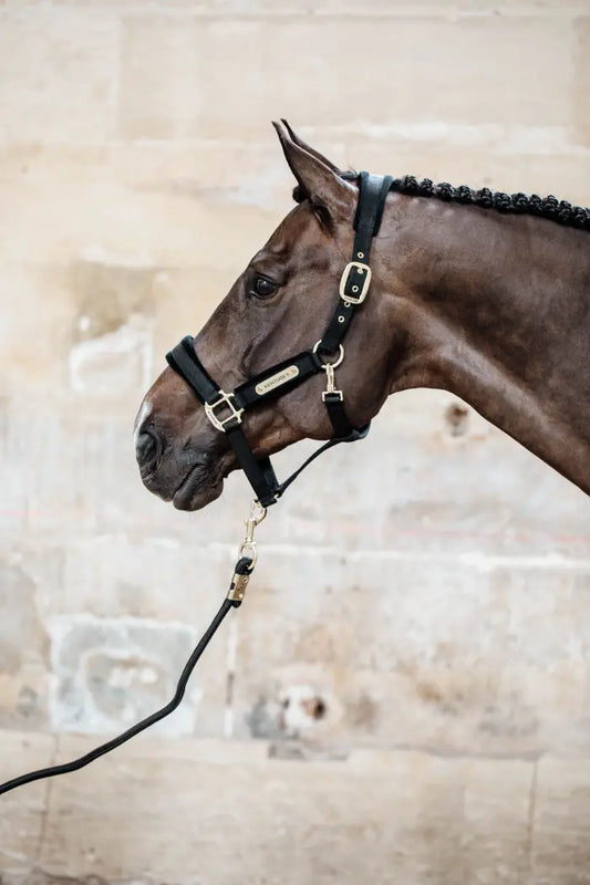 Kentucky Basic Lead Rope