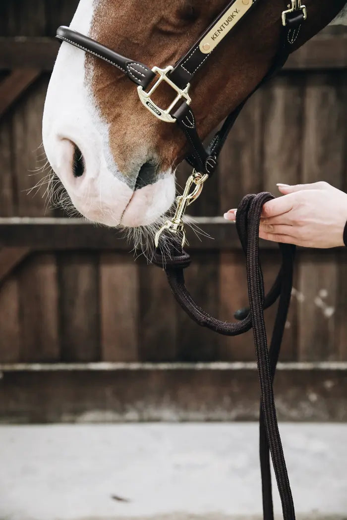 Kentucky Loop Lead Rope