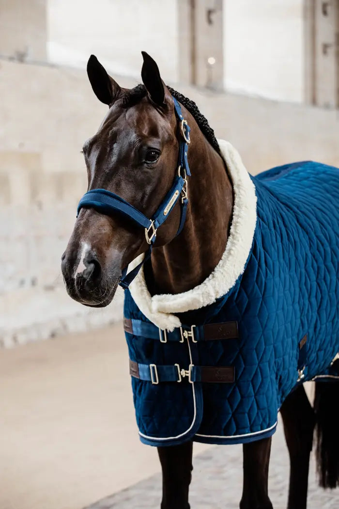 Kentucky Velvet Show Rug