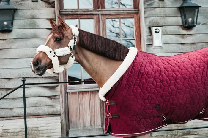 Kentucky Velvet Show Rug