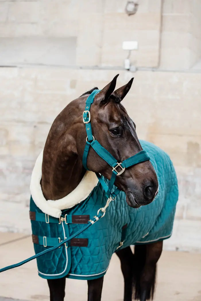 Kentucky Velvet Show Rug