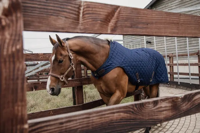 Kentucky Walker Rug