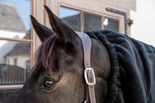 Load image into Gallery viewer, Kentucky Heavy Fleece Horse Scarf