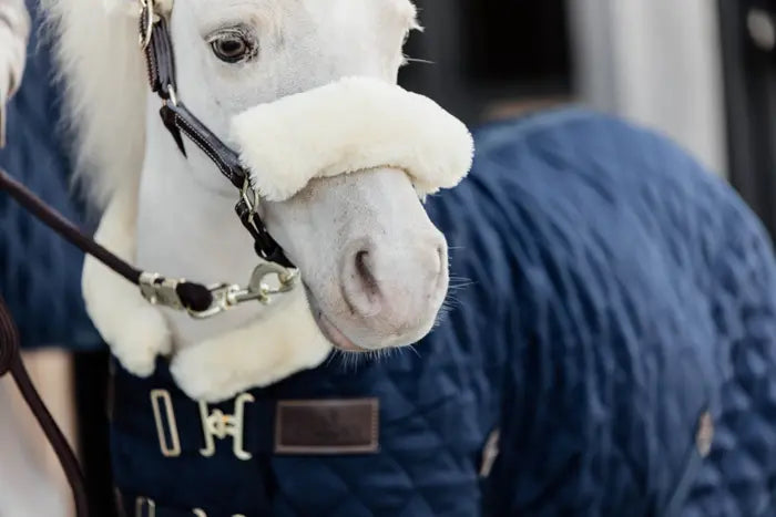Kentucky Tiny Show Rug