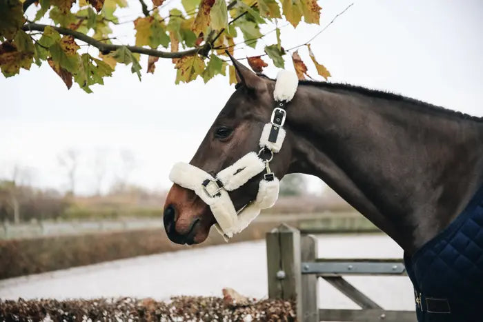 Kentucky Sheepskin Shipping Halter