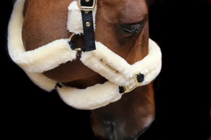 Kentucky Sheepskin Shipping Halter