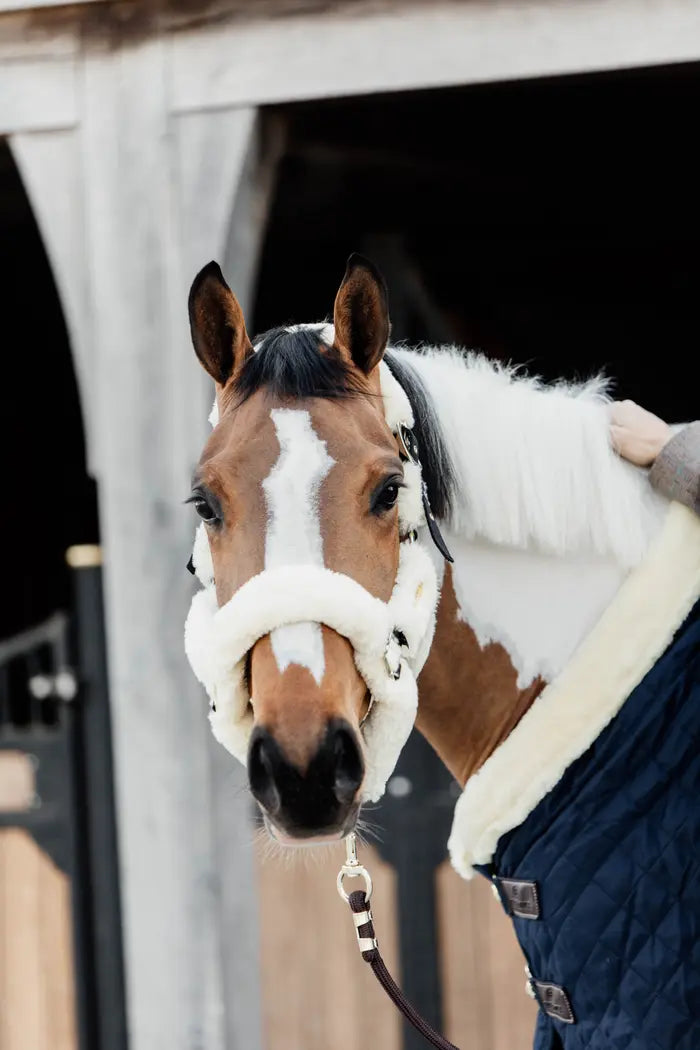 Kentucky Sheepskin Shipping Halter