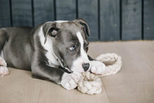 Load image into Gallery viewer, Kentucky Cotton Rope Dog Toy