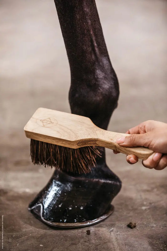 Kentucky Hoof Brush