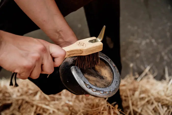 Kentucky Hoof Pick