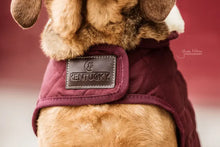 Load image into Gallery viewer, Kentucky Dog Coat Original