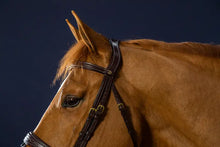Load image into Gallery viewer, Dy&#39;on Anatomic Flash Noseband Bridle