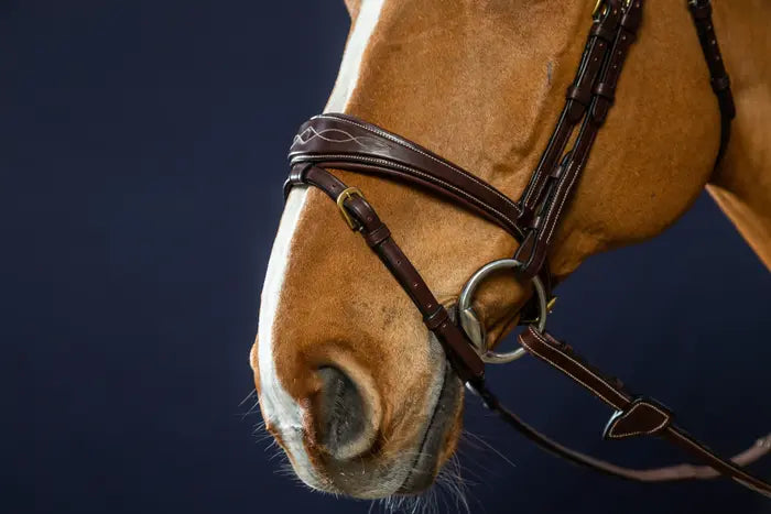 Dy'on Anatomic Flash Noseband Bridle