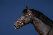 Load image into Gallery viewer, Dy&#39;on Anatomic Flash Noseband Bridle US Collection