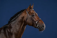 Load image into Gallery viewer, Dy&#39;on Cavesson Hunter Noseband Bridle